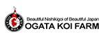 ogata logo