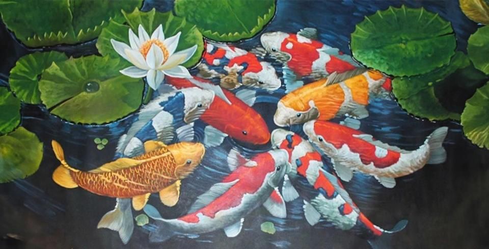 phong-thuy-ca-koi