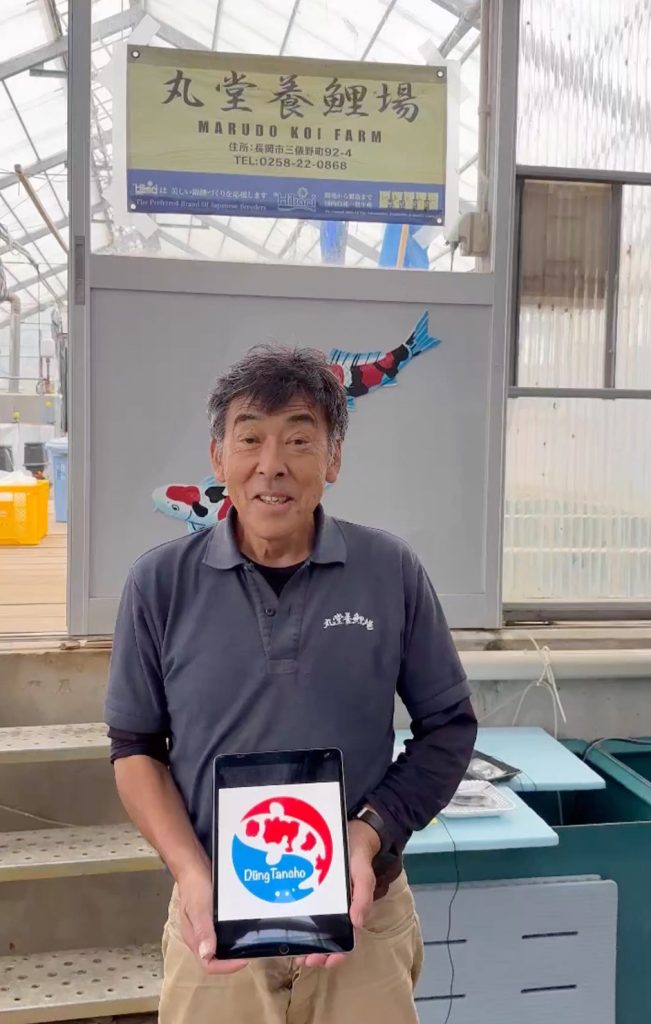 dũng tancho mua cá tại marudo koi farm
