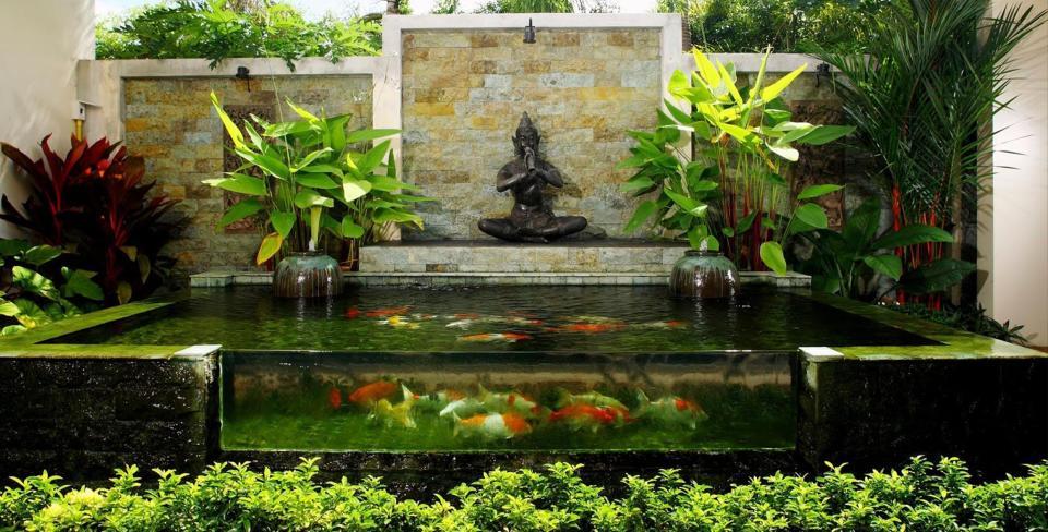 hồ cá nước trong